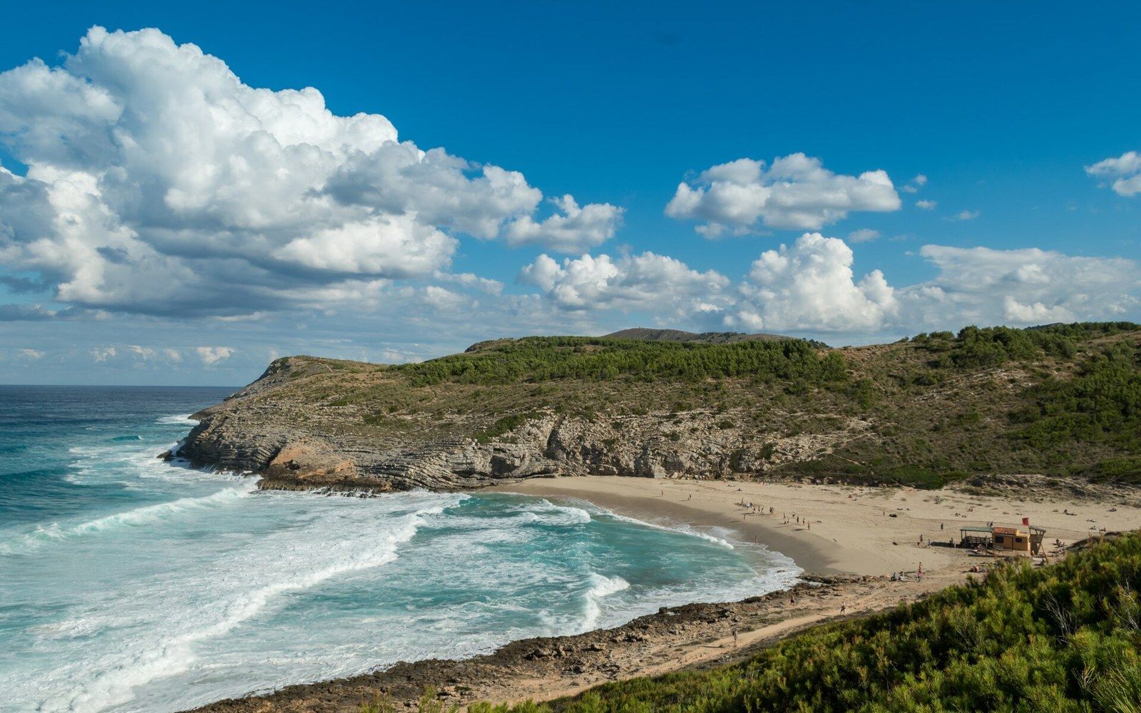 Waves break onto a secluded sandy cove framed by rocky headlands and pine-covered hills