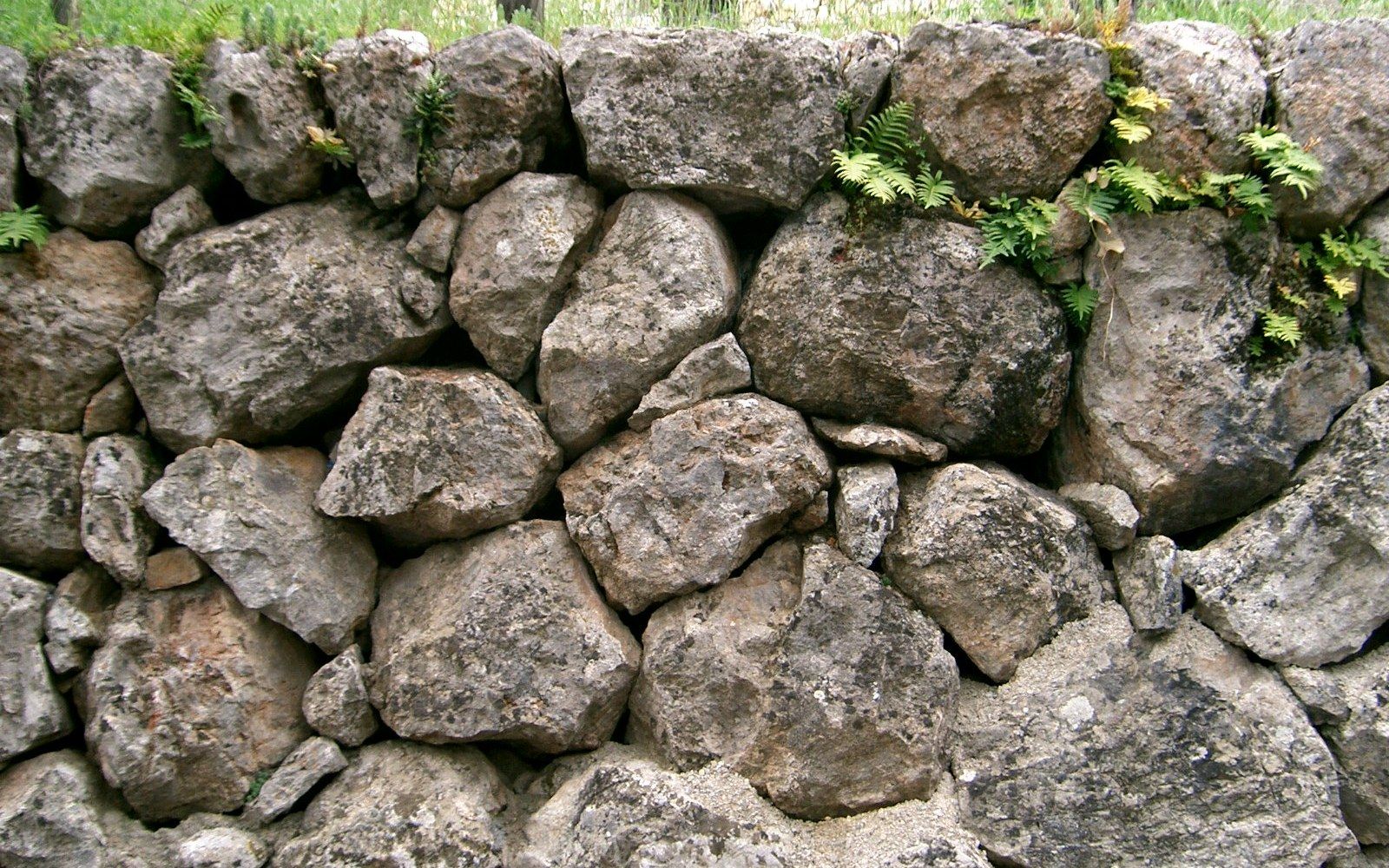 Dry stone wall of stacked rounded boulders with ferns growing between the gaps