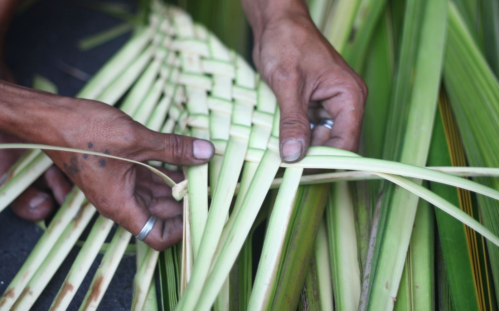 Hands weaving strips of green palm leaves into a basket pattern