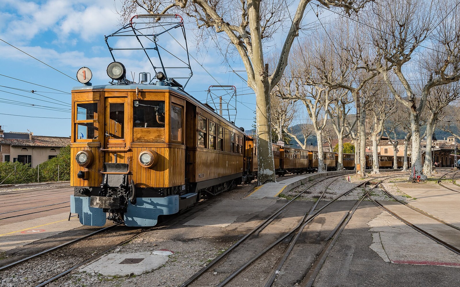 Vintage wooden electric train sits on tracks beneath bare plane trees at a station