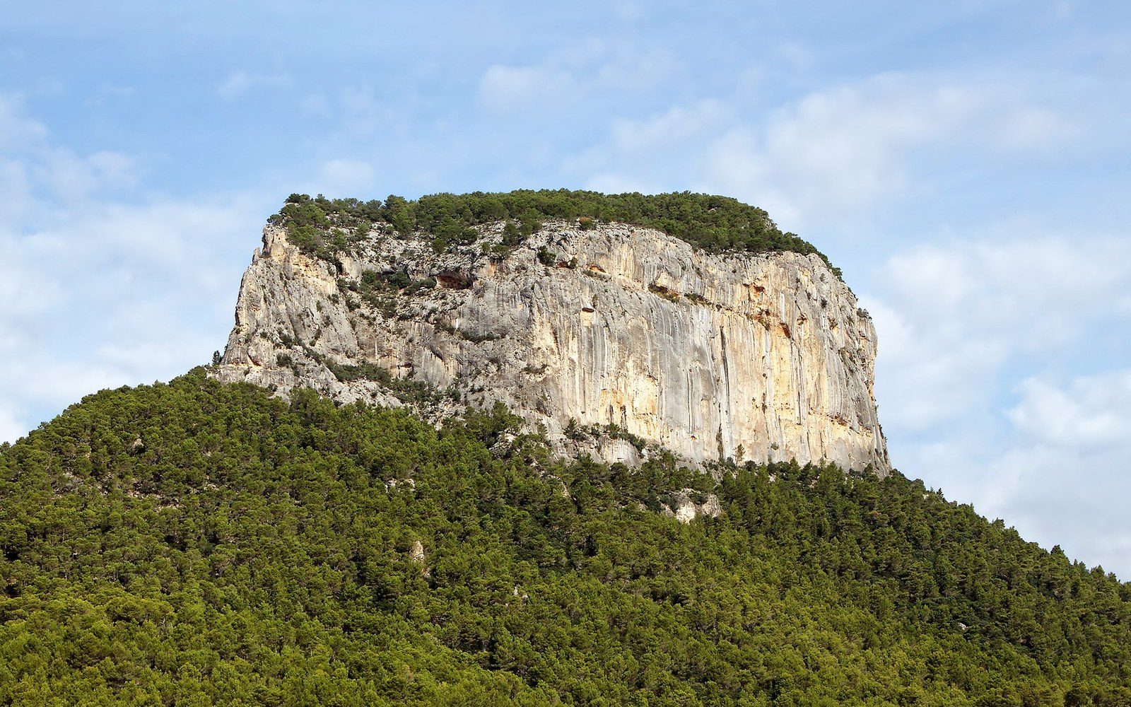 A flat-topped limestone cliff rises above dense pine forest under a partly cloudy sky